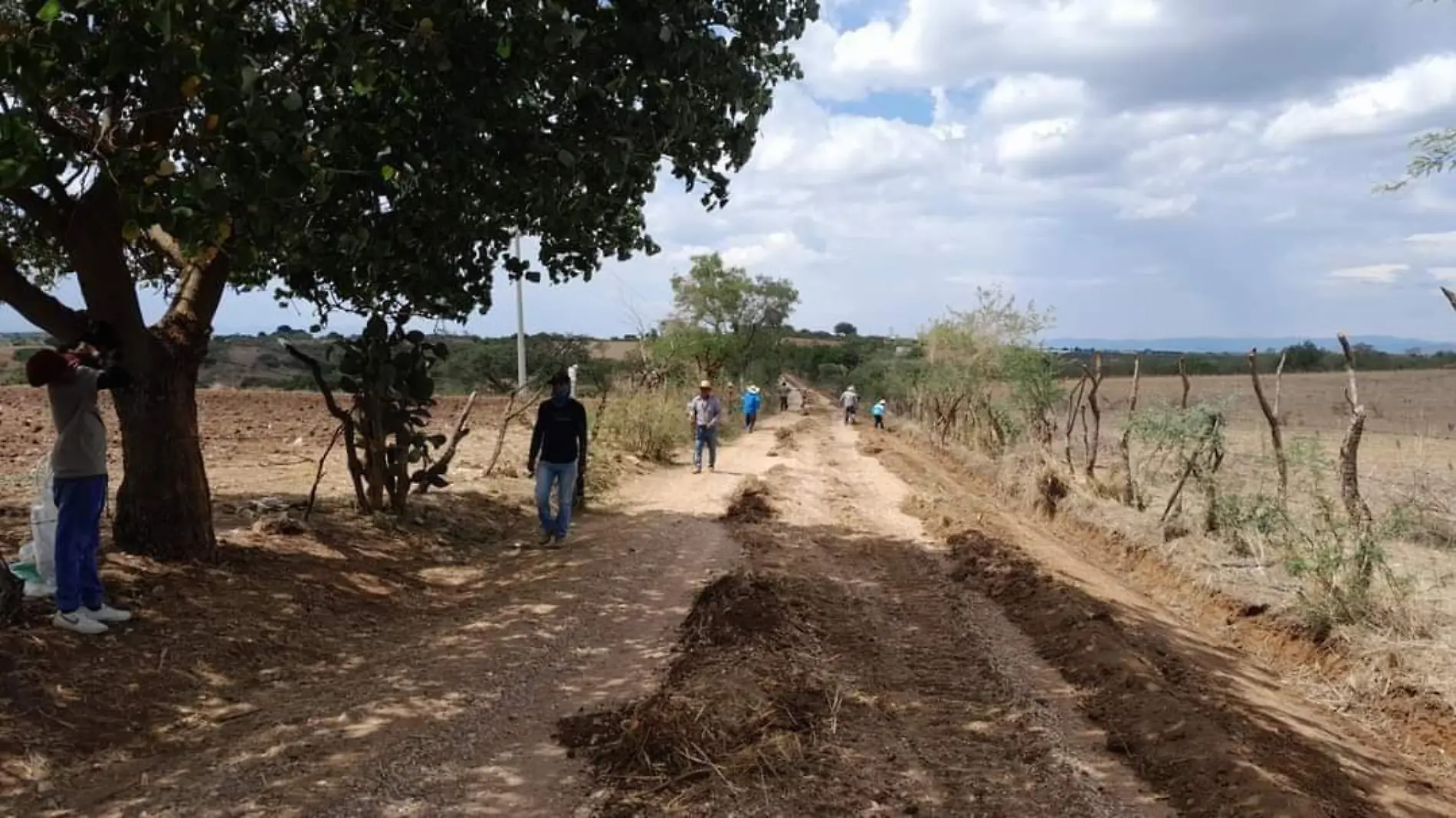 CAMINOS SACA COSECHAS 03 Brisselda Sarabia